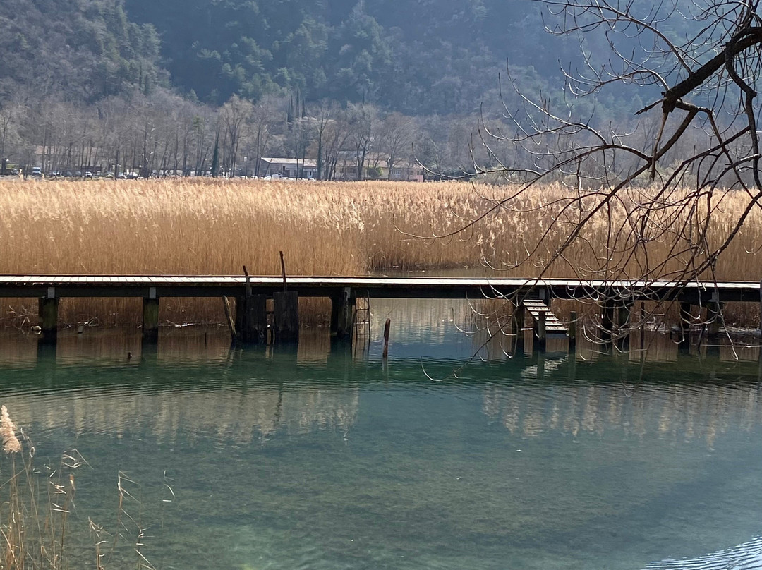 Lago Di Cavazzo-Cavazzo Carnico必去景点