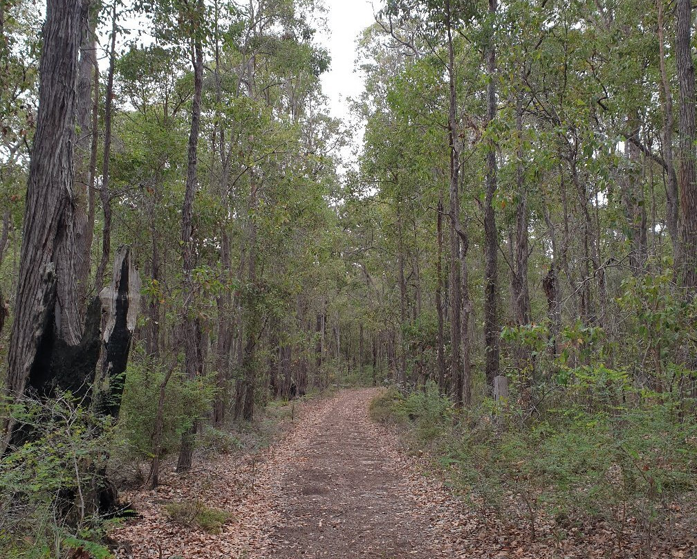 Wellington National Park-Collie必去景点