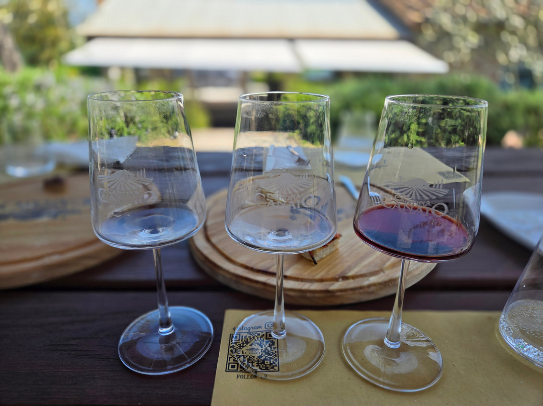 Cantina Canaio-科尔托纳必去景点