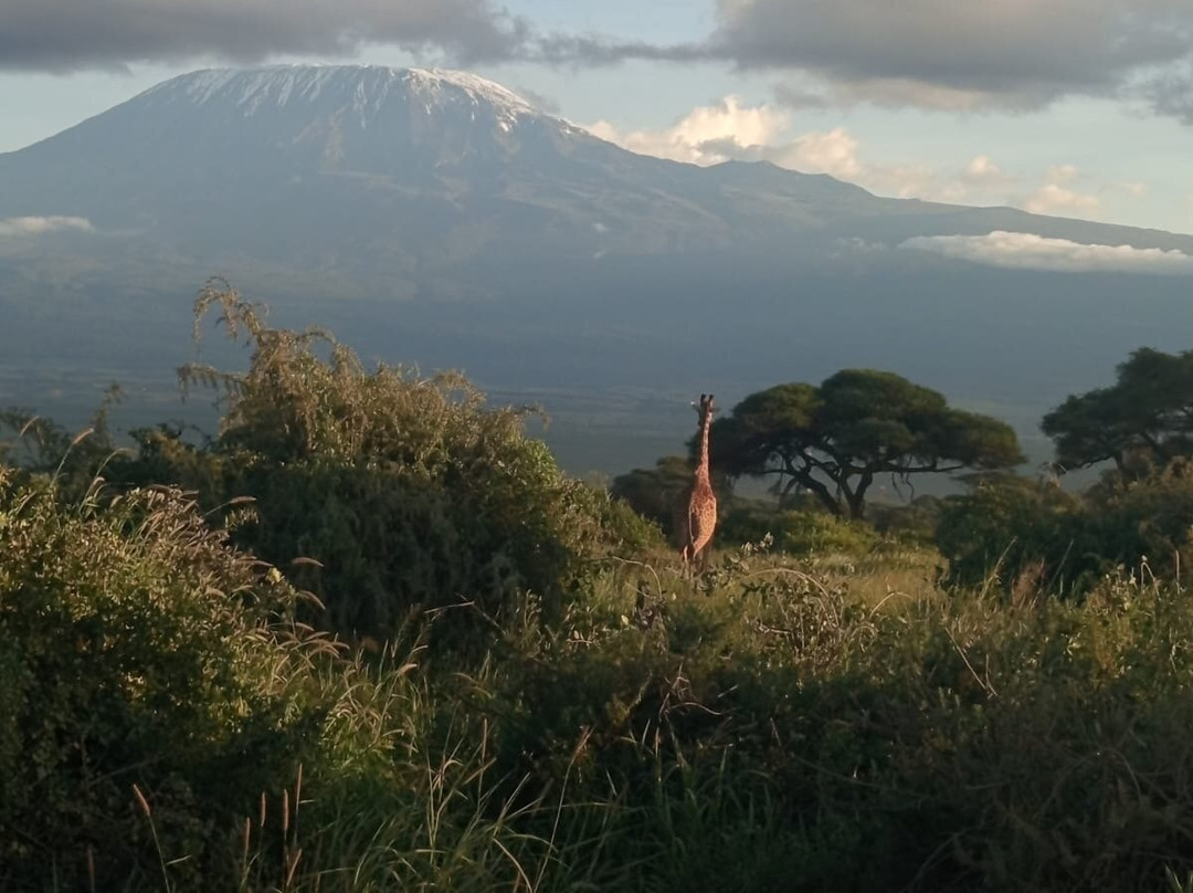 Destinations Kenya Safari-内罗毕必去景点