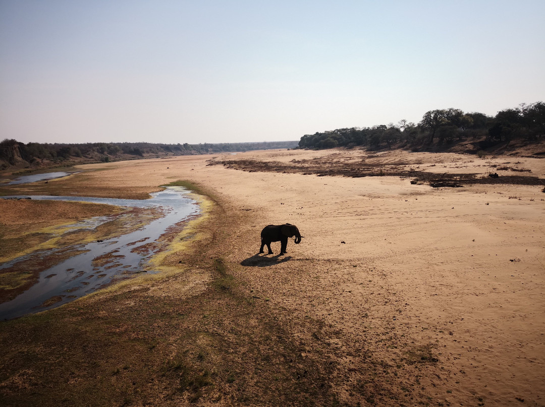 Safari4Africa-约翰内斯堡必去景点
