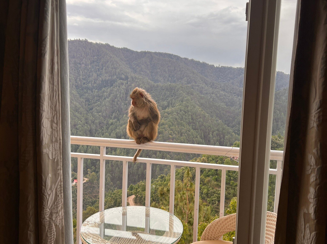 穆克特什瓦胡斯塔度假酒店主图