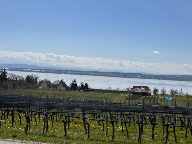 勃艮达霍夫酒店-限成人-官方