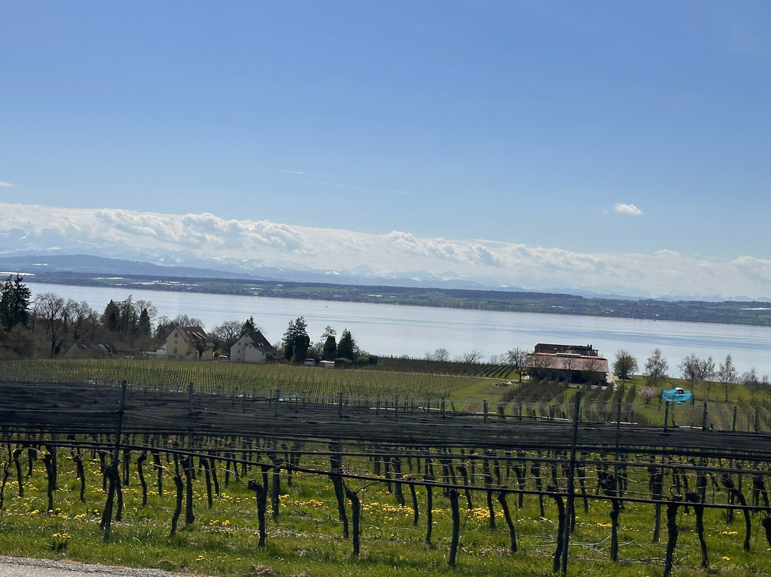 勃艮达霍夫酒店-限成人主图