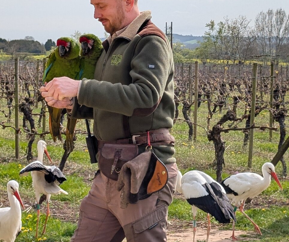 Wild Zoological Park-Bobbington必去景点