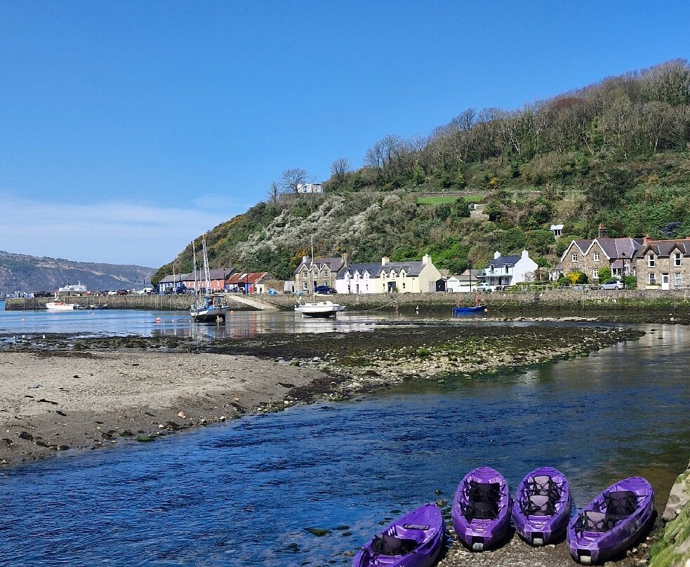 Kayak-King-Fishguard必去景点