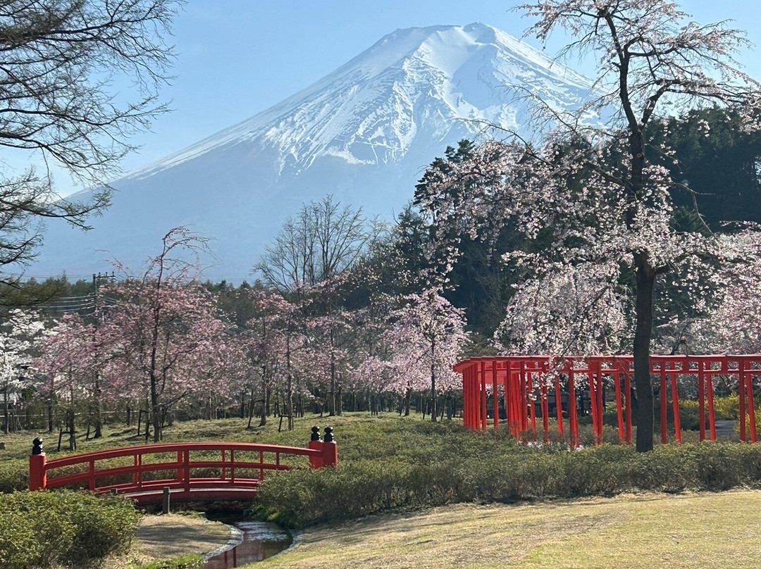 Oshino Shinobi no Sato-忍野村必去景点