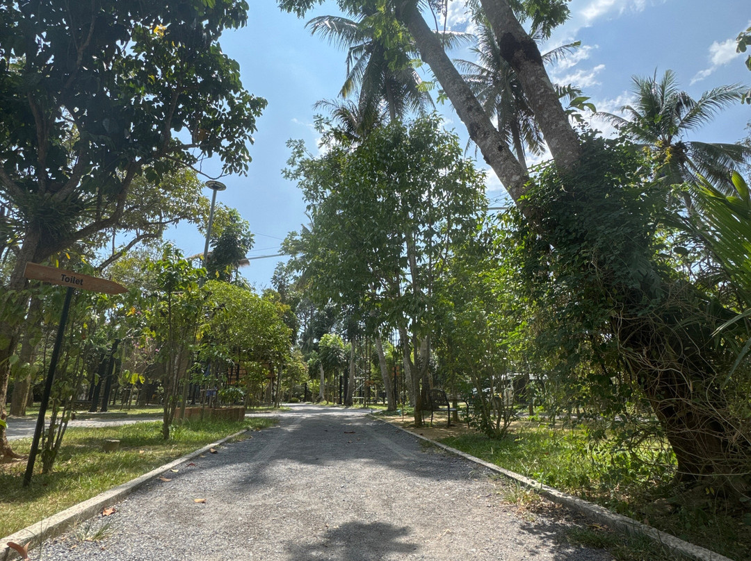 Samui Zipline & Adventures-利巴诺伊必去景点