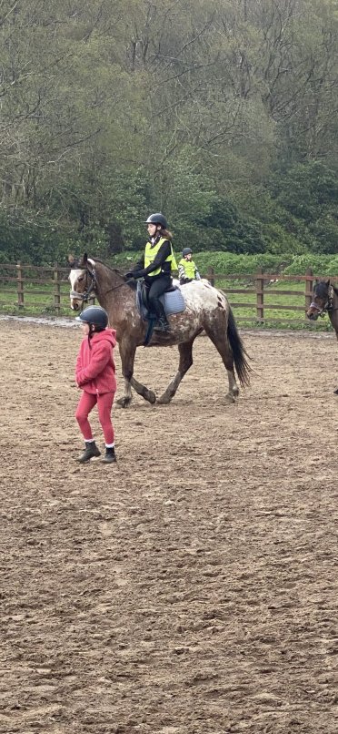 彭特利马术酒店-旅行者