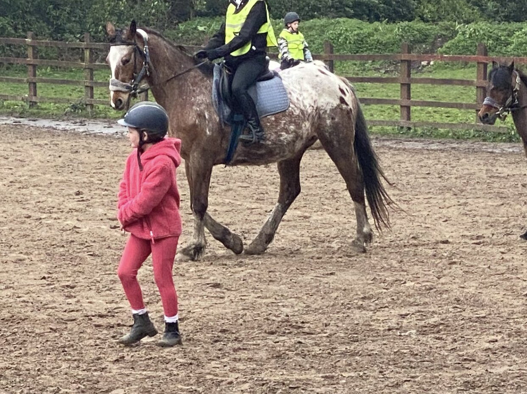 彭特利马术酒店主图