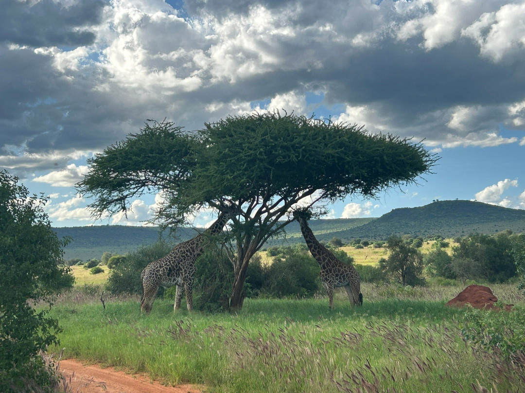 Marco Polo Safaris-迪亚尼必去景点