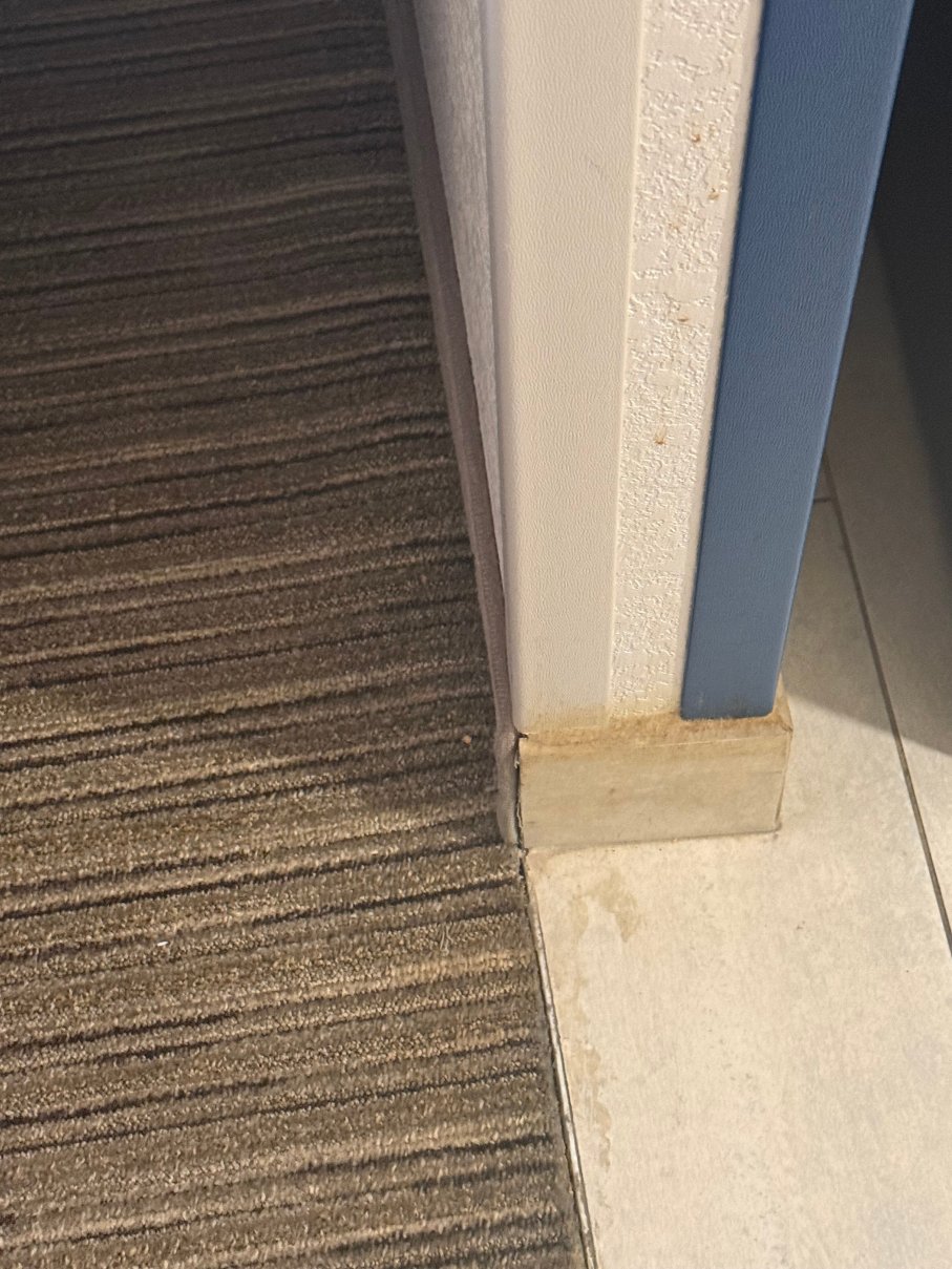 北福尔里弗智选假日酒店-旅行者