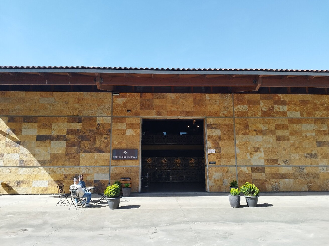 Bodegas Castillo de Mendoza-San Vicente de la Sonsierra必去景点