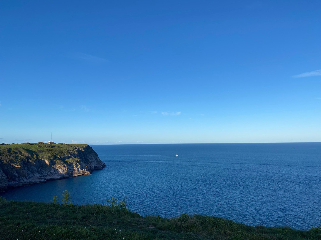 Berry Head National Nature Reserve-布里克瑟姆必去景点