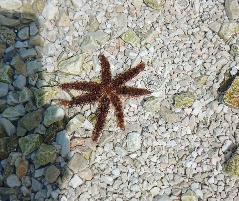 Ciovo, Croatia-欧克鲁格勾基必去景点