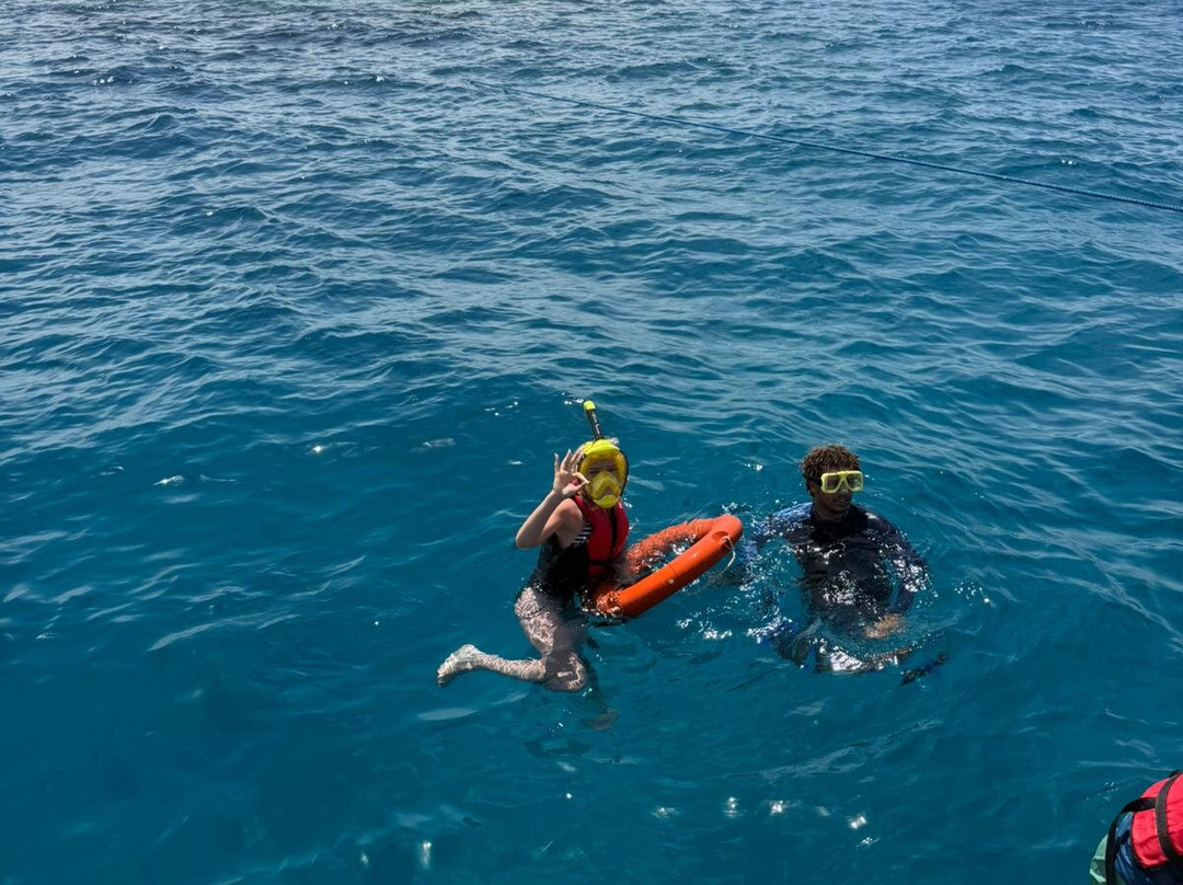 Bella Liveaboard-沙姆沙伊赫必去景点