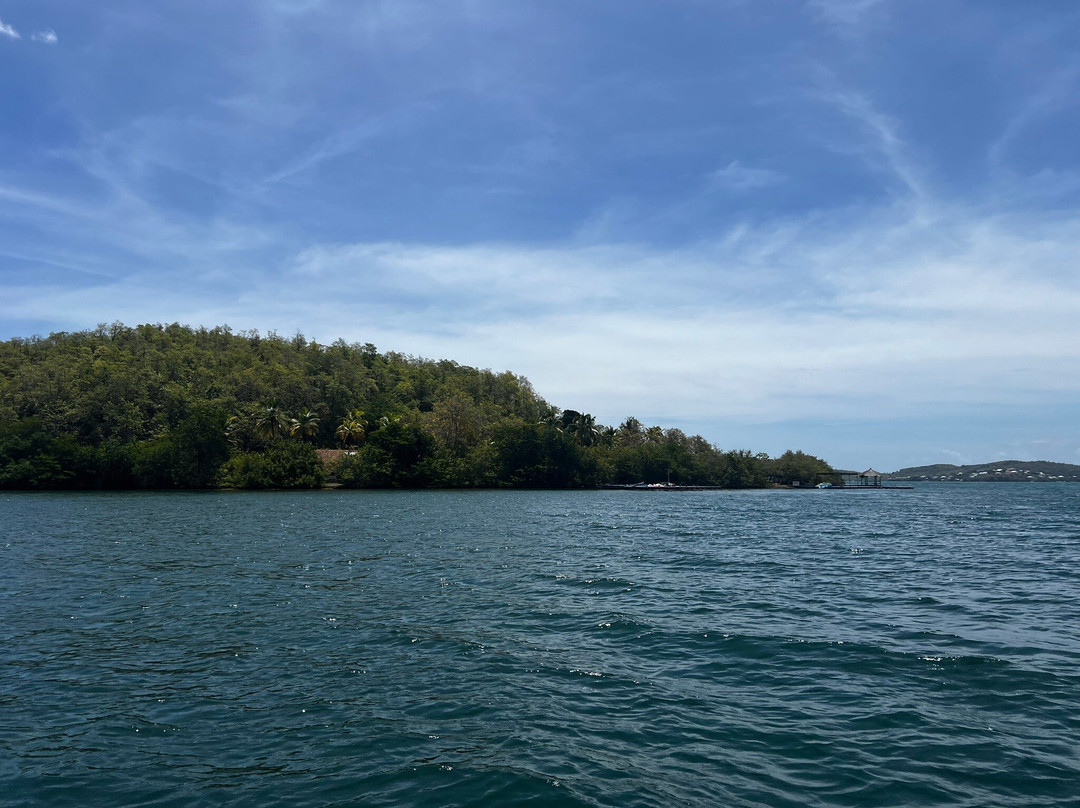 Capitaine Titi Balades en Mer-La Trinite必去景点