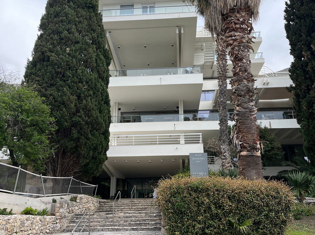 阿斯塔雷酒店主图