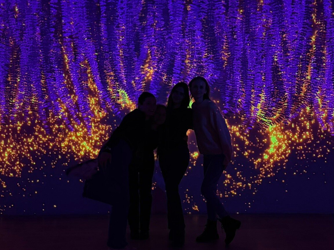Sensorica Immersive Museum-基希讷乌必去景点