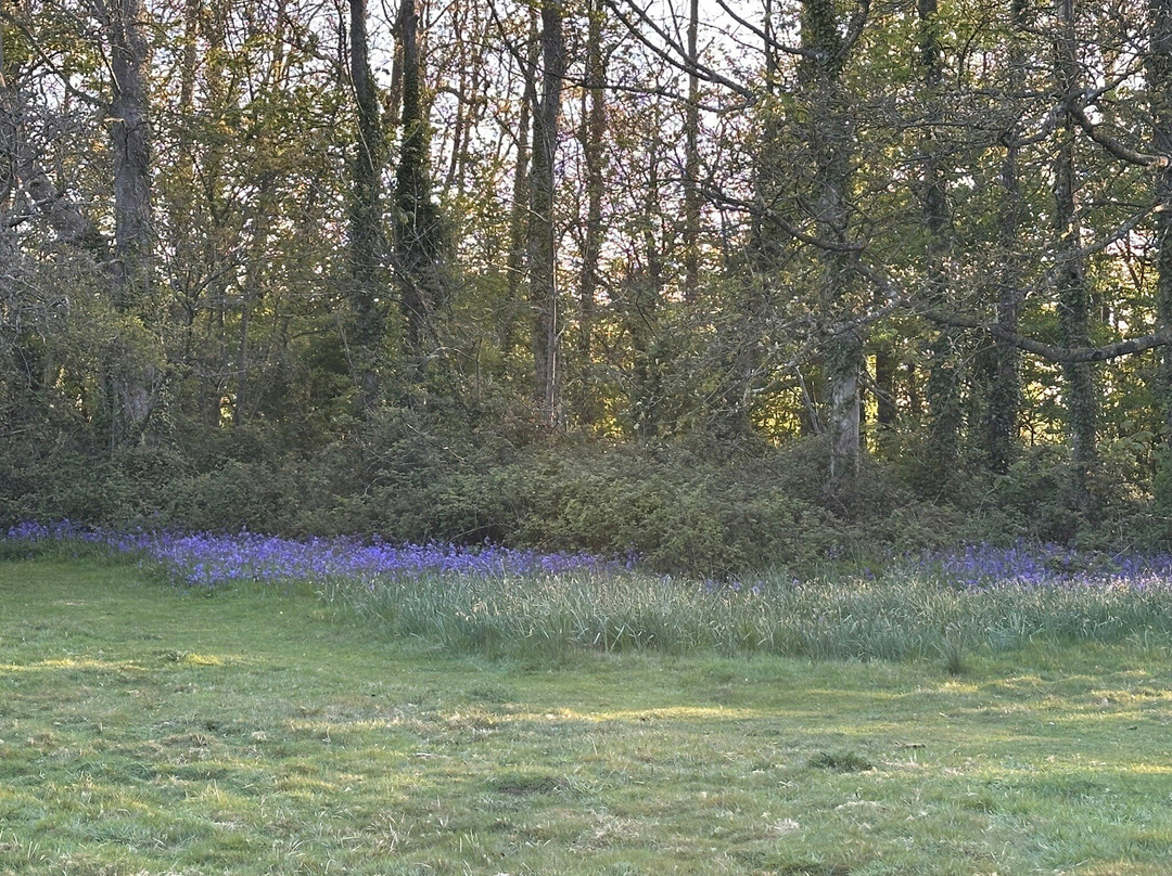拜里弗斯考特酒店及水疗中心主图