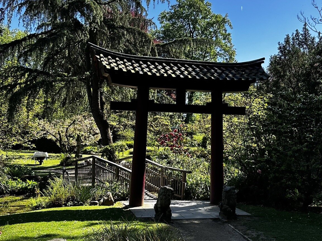 Japanese Garden Leverkusen-勒沃库森必去景点
