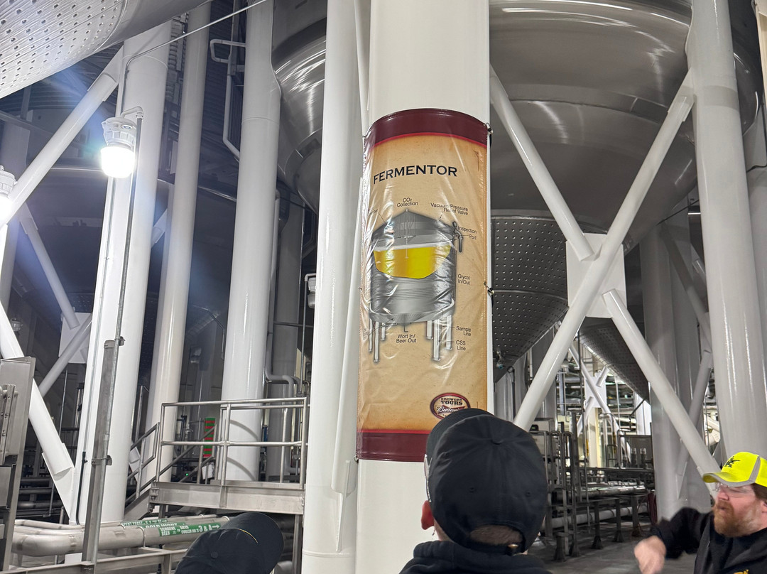 Budweiser Brewery Experience-圣路易斯必去景点