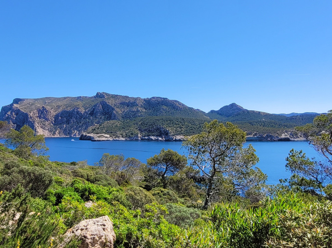 Sa Dragonera National Park-马洛卡岛必去景点
