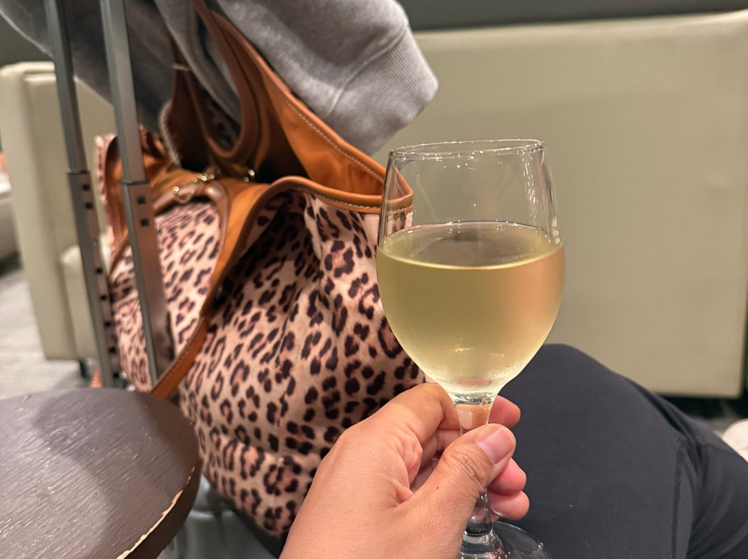 Plaza Premium Lounge (Departures, Terminal 2)-克拉克自由港区必去景点