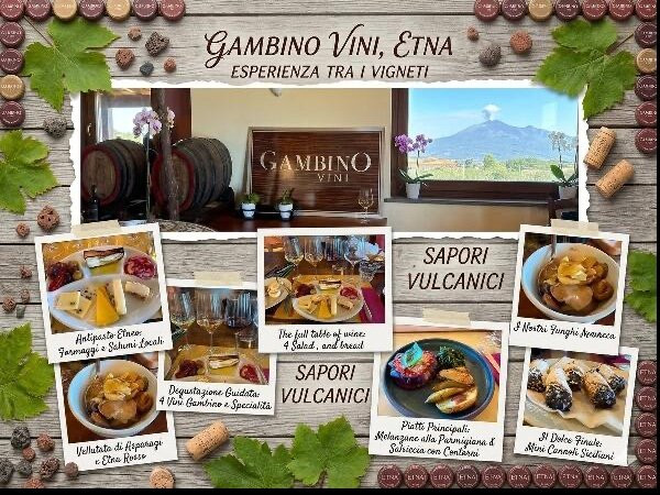 Gambino Winery-林瓜格洛萨必去景点