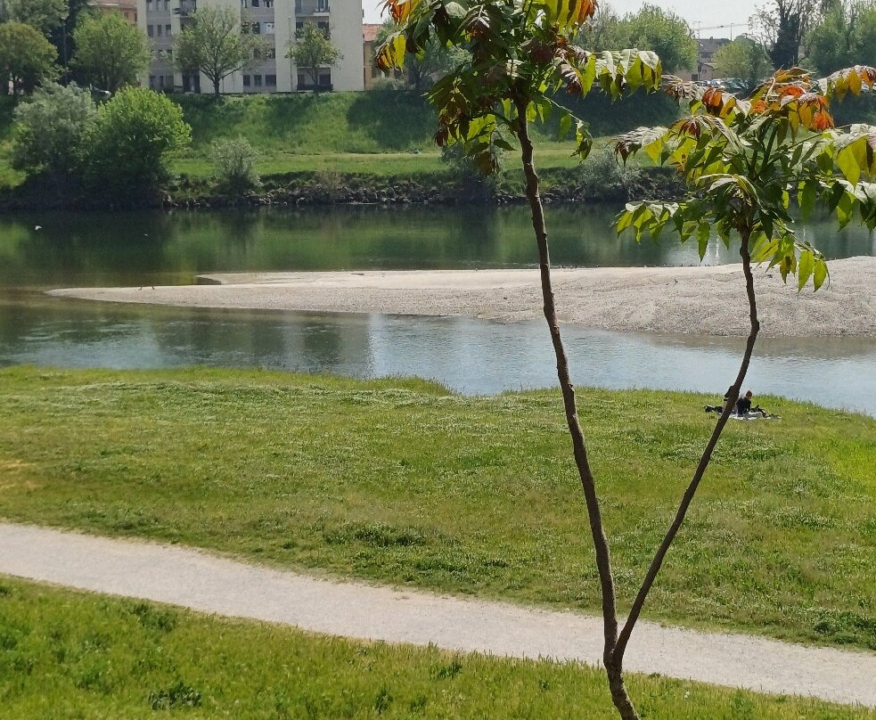 Fiume Ticino-帕维亚必去景点