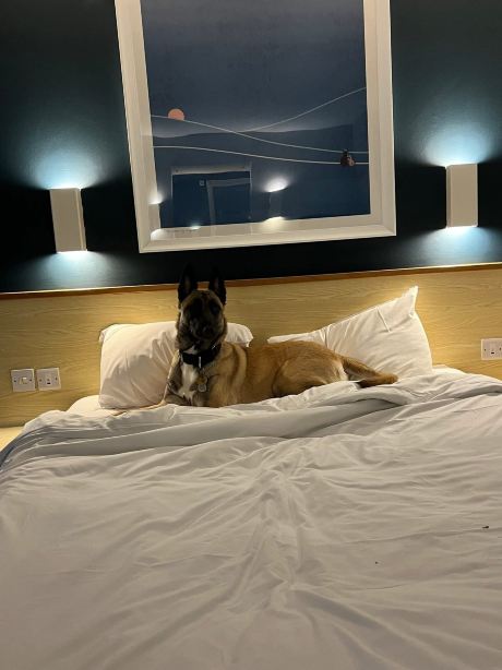 Travelodge Rugby Dunchurch Hotel-旅行者