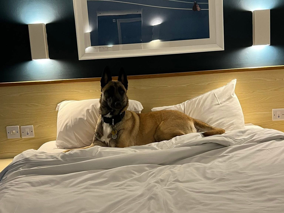 Travelodge Rugby Dunchurch Hotel主图