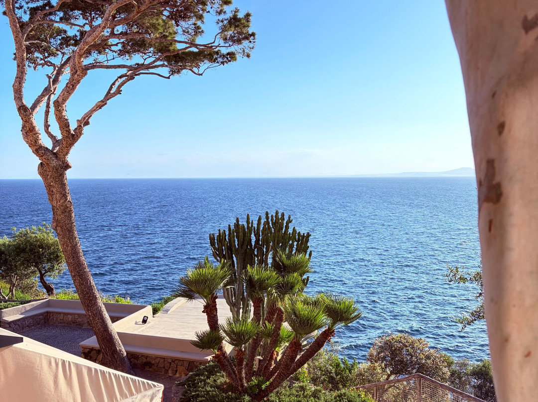 梅萨托雷酒店&温泉SPA Mezzatorre Hotel&Thermal Spa（意大利）主图