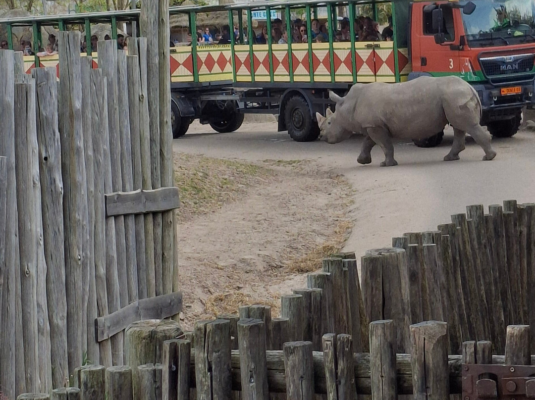 Wildlands Adventure Zoo Emmen-Emmen必去景点