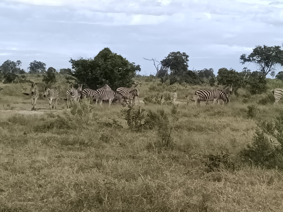 Kalahari Breeze Safaris-马翁必去景点