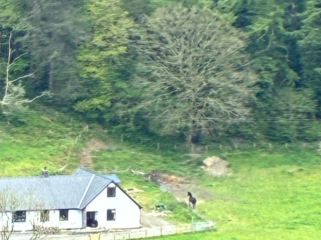 Vale of Rheidol Railway-阿伯里斯特威斯必去景点