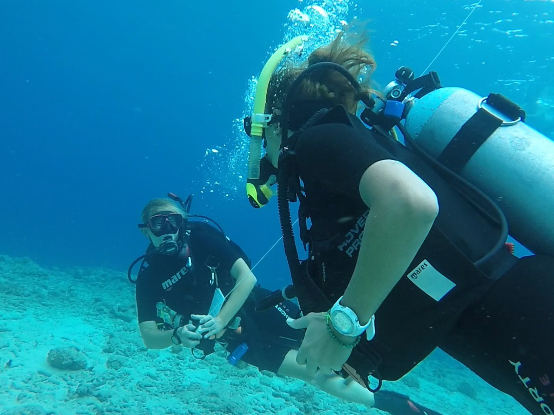 Fundiving Curacao-威廉斯塔德必去景点