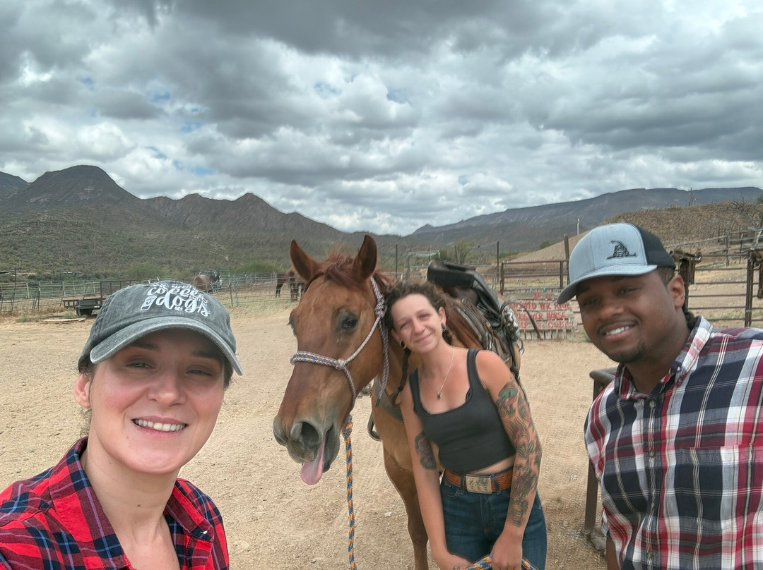 Arizona Horseback Adventures at Spur Cross-洞溪必去景点