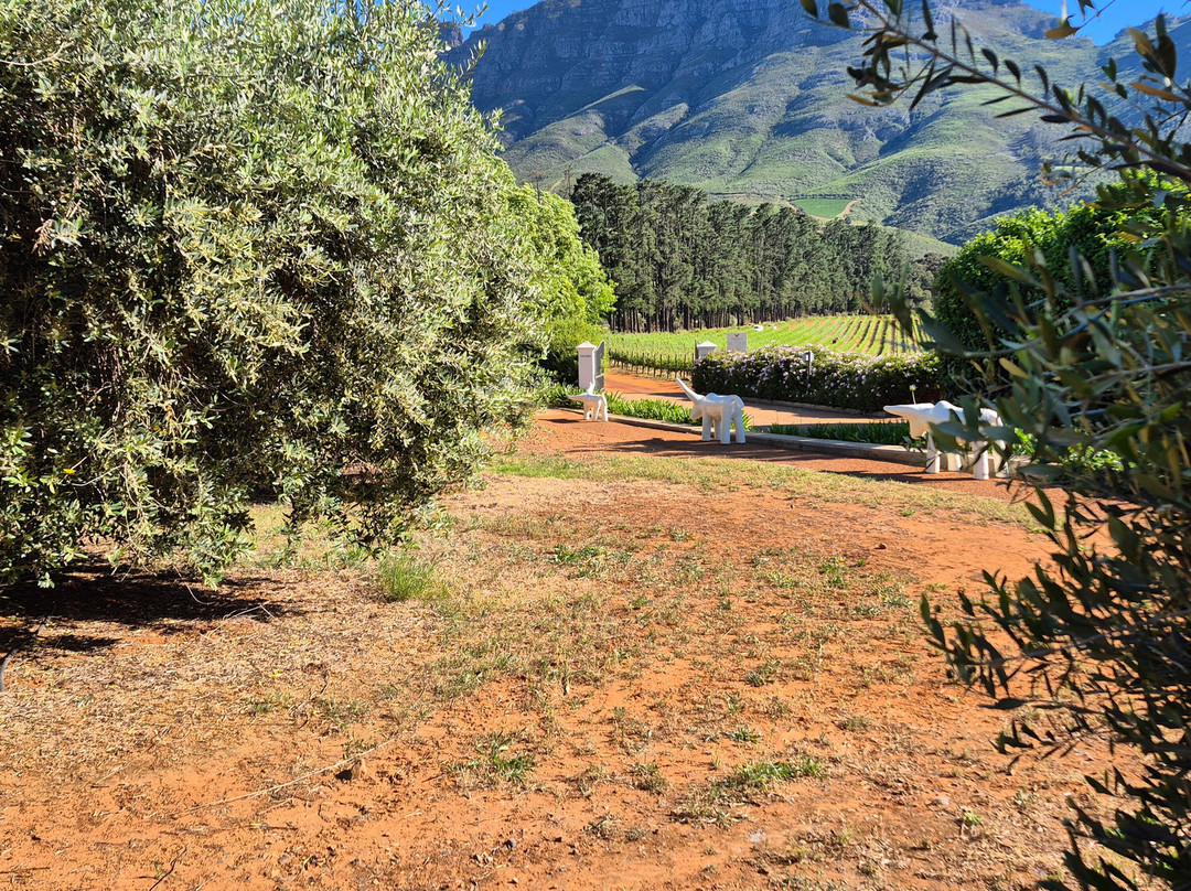 Cape Town Day Tours-Scarborough必去景点