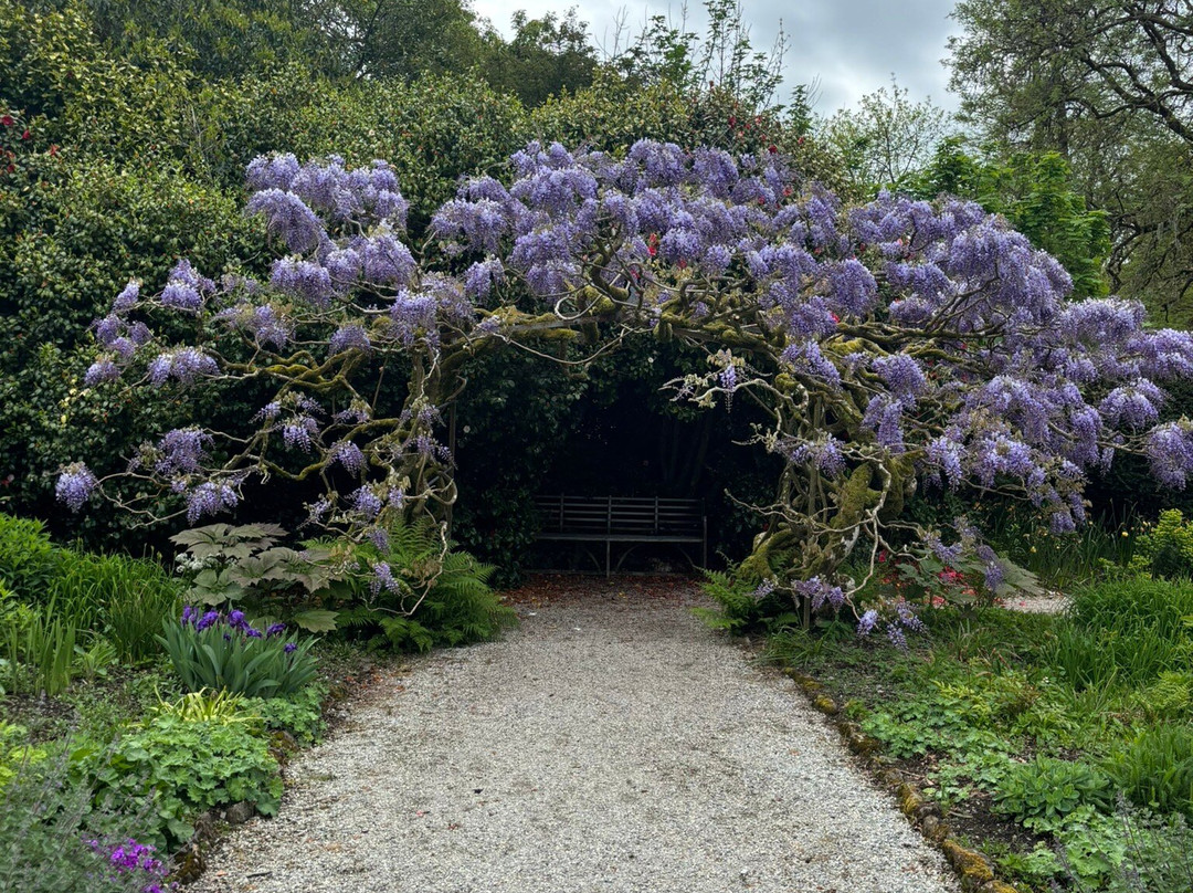 Arlington Court and the National Trust Carriage Museum-巴恩斯特珀尔必去景点