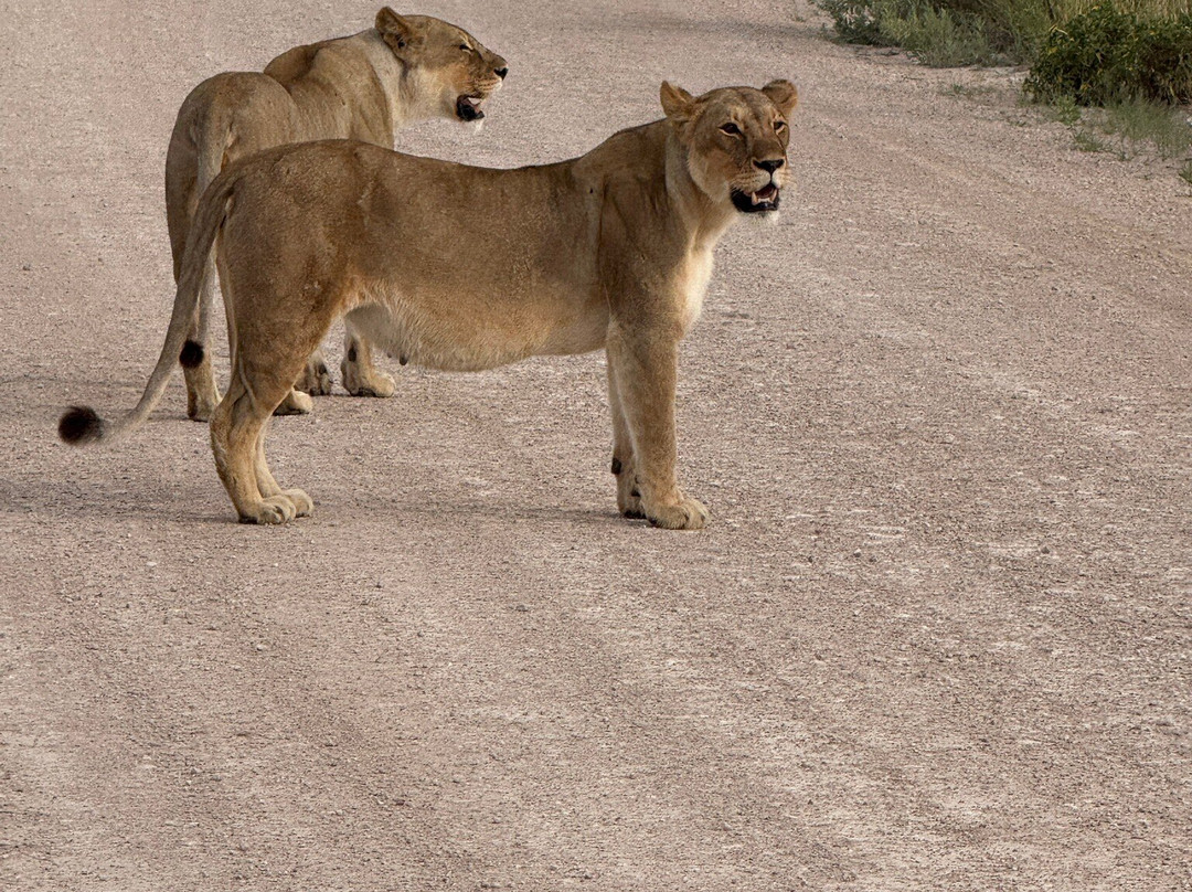 Nature Travel Namibia-温德和克必去景点