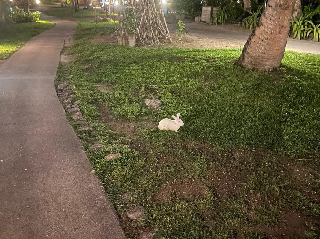 塞舌尔康斯丹蕾沐莉亚酒店主图