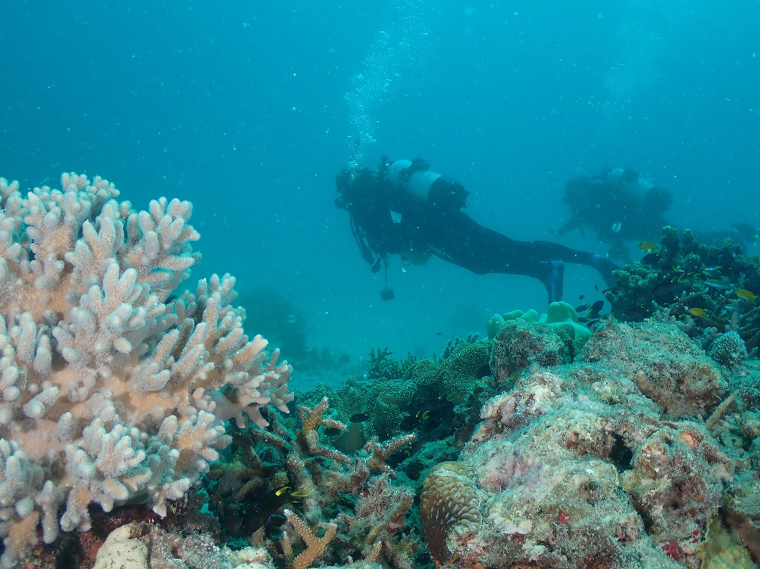 Mission Beach Dive-Mission Beach必去景点