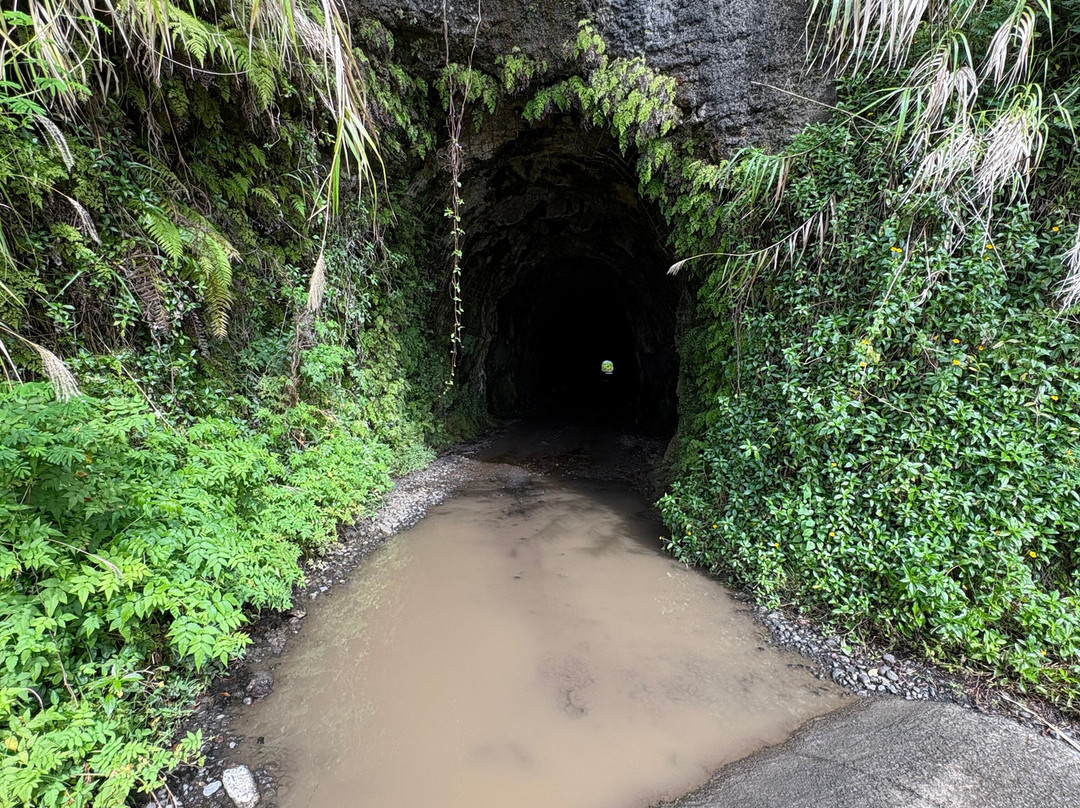 Karatu Expedition Safaris-阿鲁埃必去景点