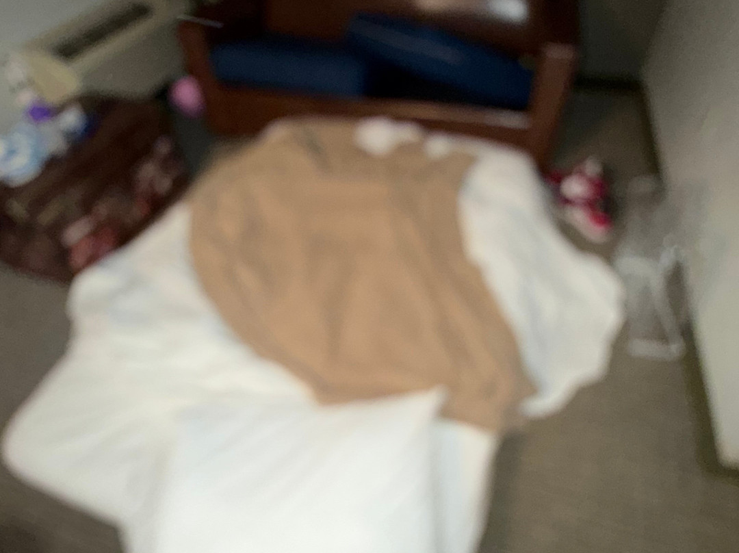 大狼小屋主图