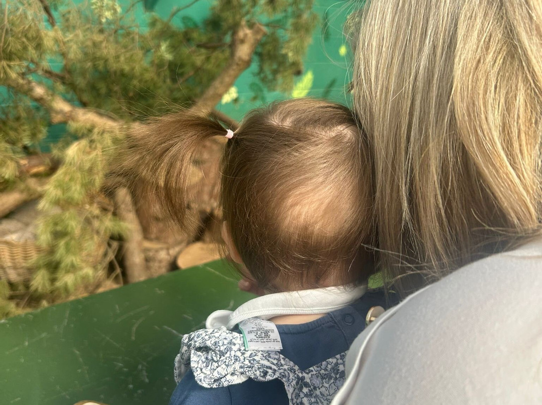 New Forest Wildlife Park-Ashurst必去景点