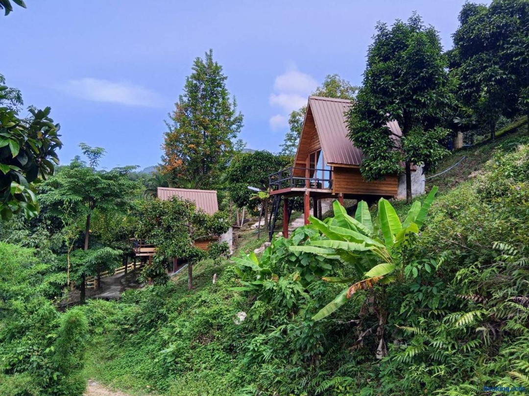 The BED Forest Camp Lansaka