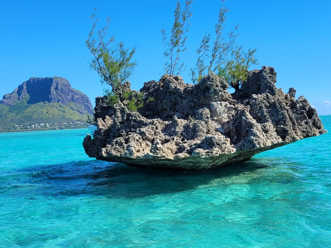 Scubacaribe Mauritius-莫纳山必去景点