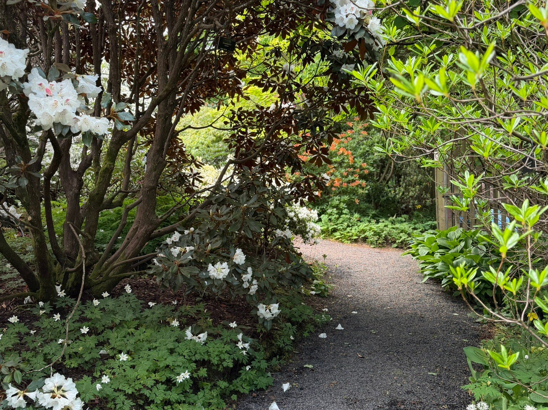 Branklyn Garden-珀斯必去景点