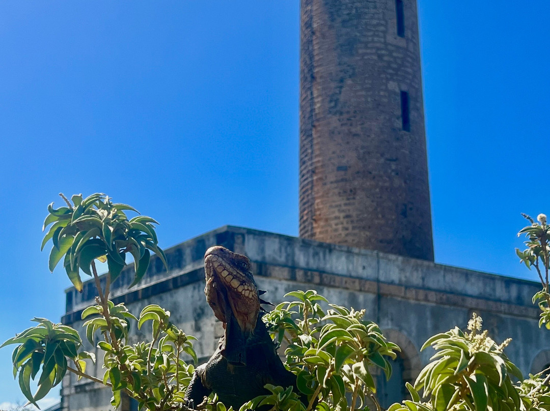 Authentique Excursion-Sainte-Anne必去景点